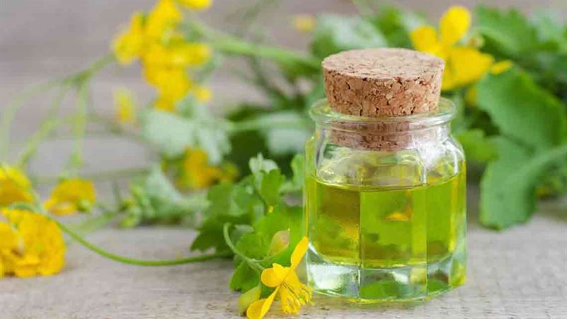 Effective Strategies and Treatments for Hemorrhoid Relief