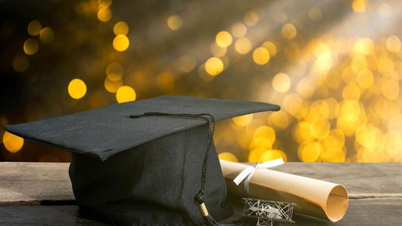 Comprehensive Guide to Pursuing a Business Degree: What You Need to Know