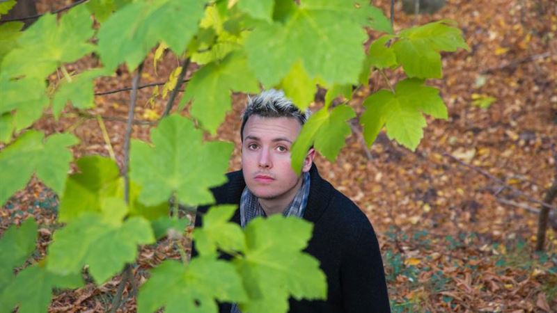 Comprehensive Guide to Pruning Maple Trees for Healthy Growth