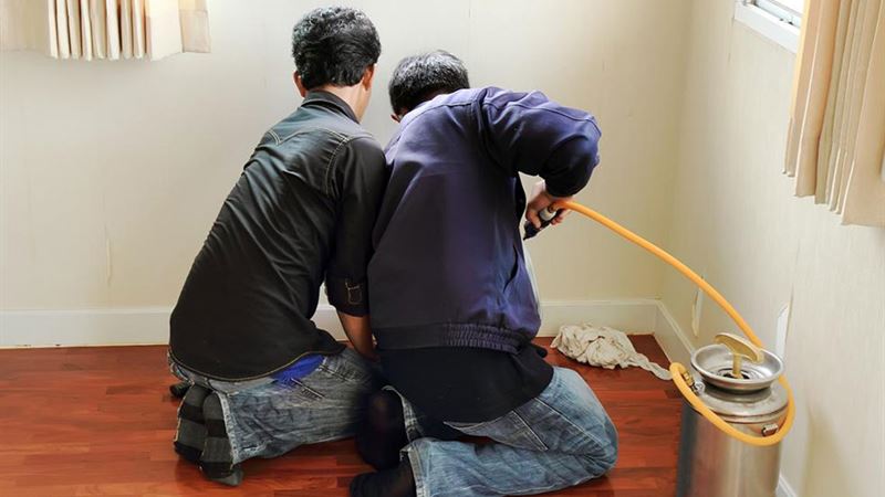 Essential Reasons to Prioritize Rodent Pest Management in Your Home