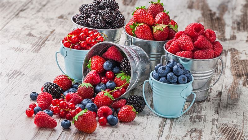 Effective Dietary Strategies and Medical Options for Managing Parkinson’s Disease