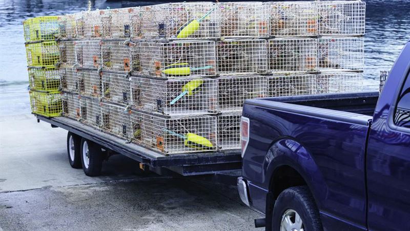 Comprehensive Overview of the Chevrolet Silverado: Features, Performance, and Pricing