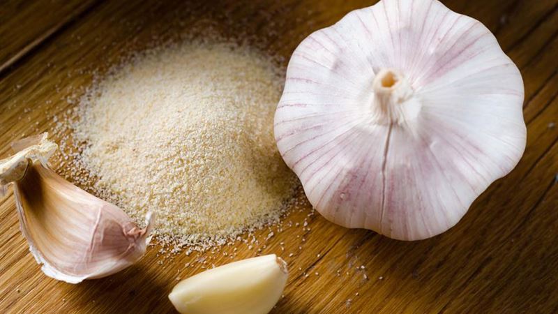 Effective Natural Strategies to Prevent and Control Household Fleas