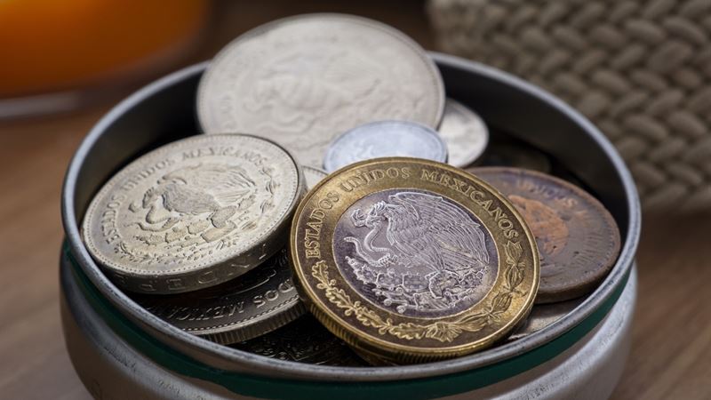 Unlocking Mexico's Numismatic Heritage: A Comprehensive Guide to Valuable Mexican Coins