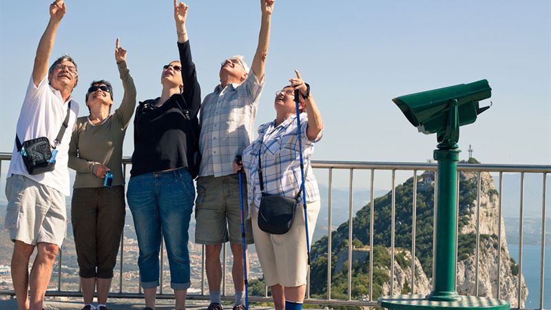 Comprehensive Guide to Italy Travel Packages for Senior Travelers