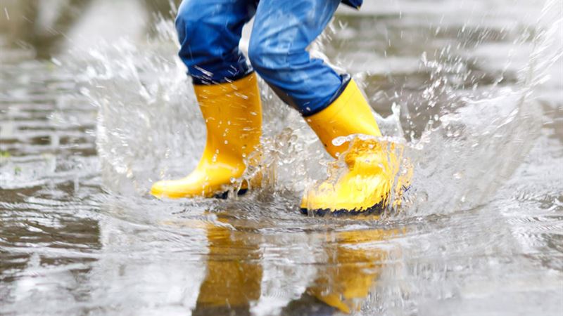 Why Hunter Rain Boots Are a Must-Have for All Seasons