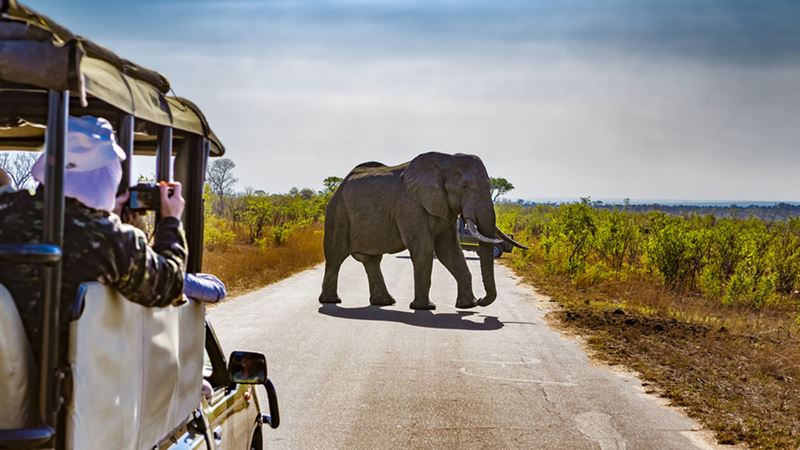 Guide to Choosing the Perfect African Travel Adventure