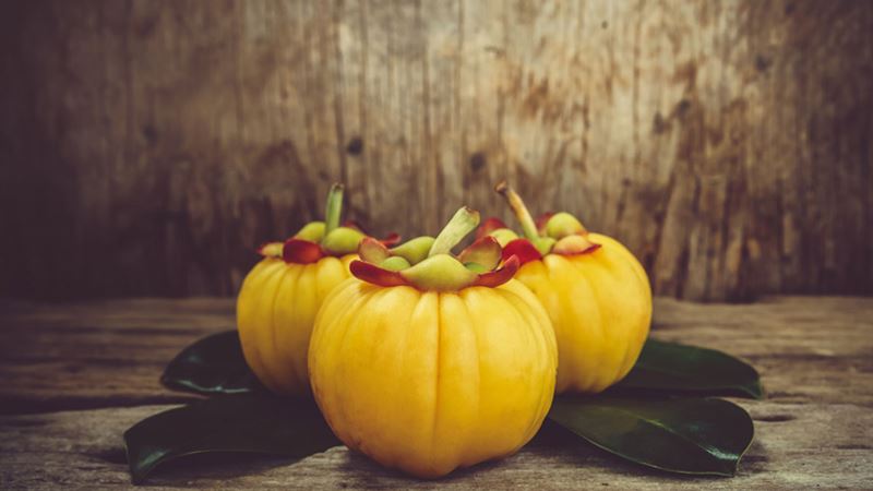 An In-Depth Look at Garcinia Cambogia: Benefits, Risks, and Scientific Insights
