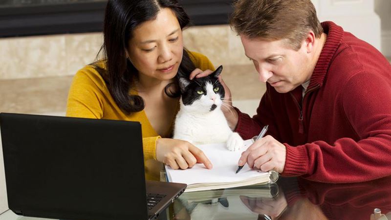 Comprehensive Guide to Essential Pet Insurance Policies You Need to Know