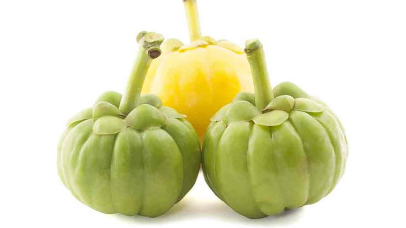 Comprehensive Guide to the Health Advantages of Authentic Garcinia Cambogia