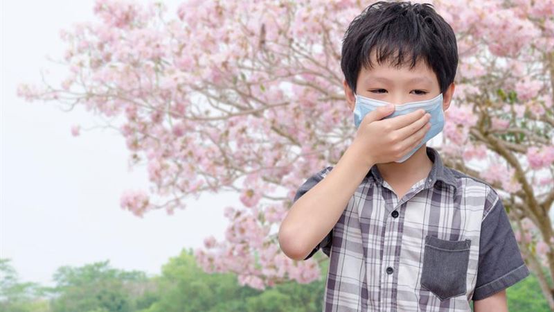 Effective Strategies to Prevent Pollen Allergy and Safeguard Your Health
