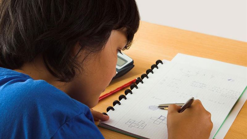 Comprehensive Guide to Selecting the Optimal Math Homework Assistance Apps