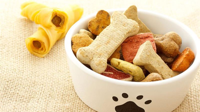 Ultimate Guide to Durable and Popular Dog Chew Treats for Happy, Healthy Pets