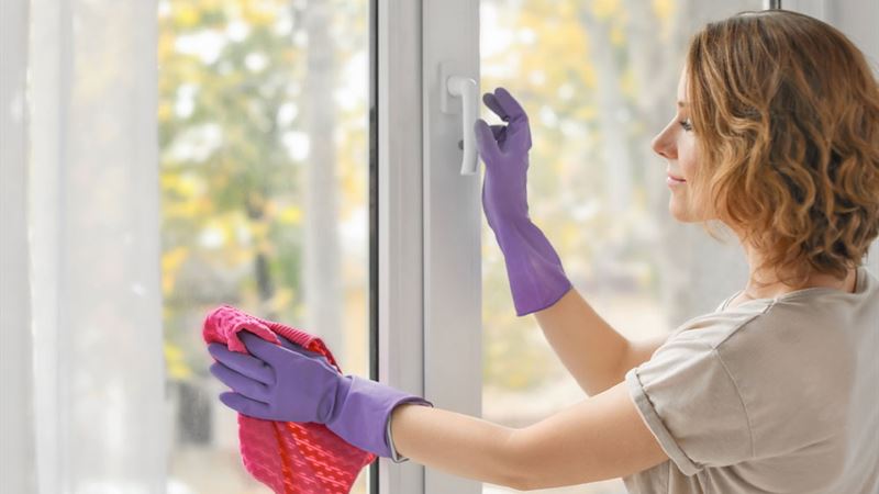 Comprehensive Guide to Effective Window Cleaning Techniques