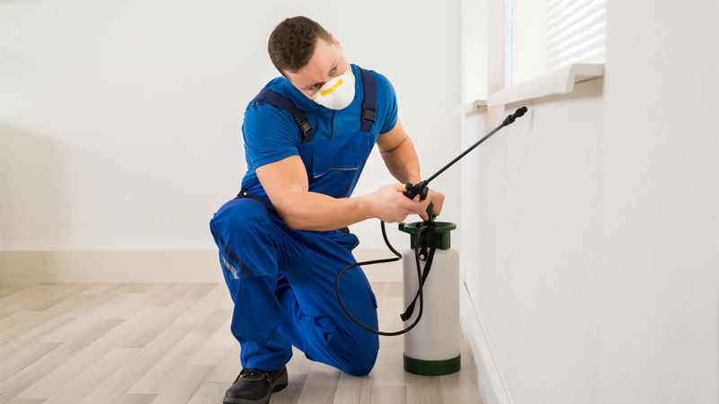 Comprehensive Pest Management Solutions: Types, Expenses, and Leading Service Providers