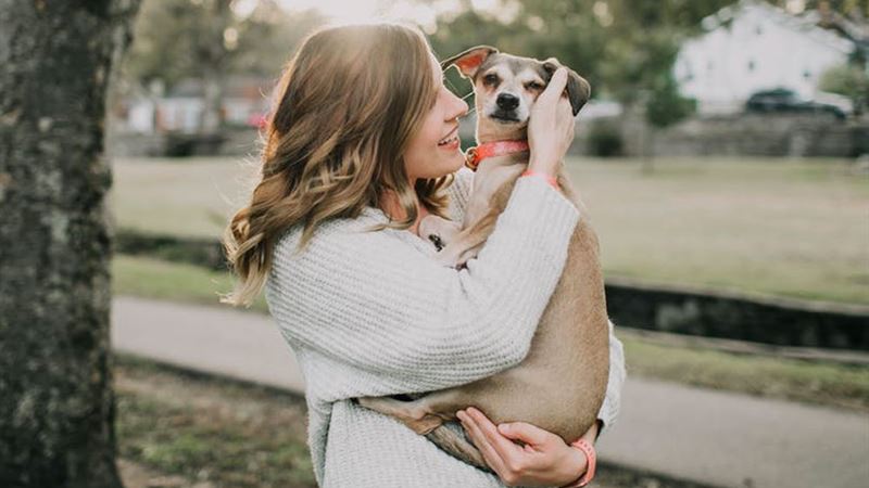 Emerging Trends and Key Aspects of the Rapidly Growing Pet Insurance Industry