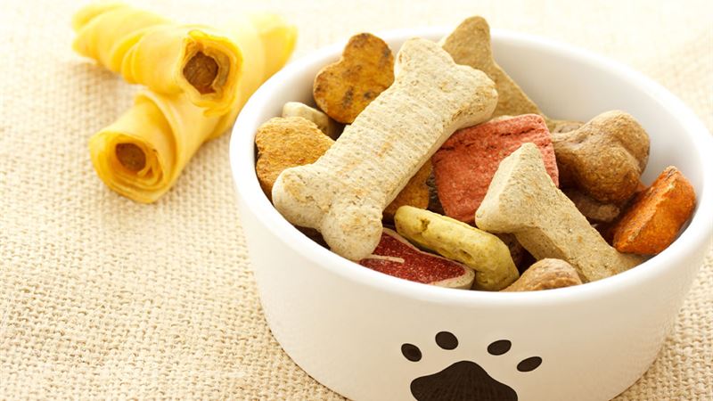 Comprehensive Guide to Protecting Pets from Food Allergies and Ensuring Their Safety