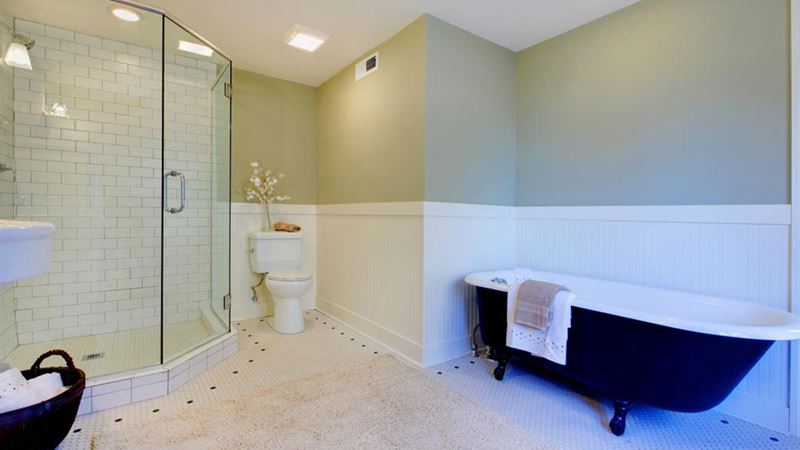 Comprehensive Guide to Advantages and Disadvantages of Walk-In Bathtubs