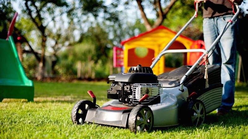 Effective Strategies to Maintain a Beautiful and Organized Garden with Lawn Mowers