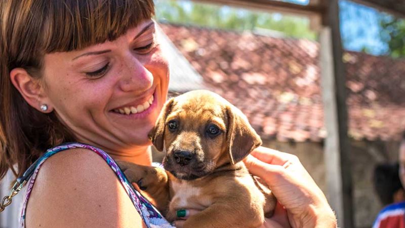 Essential Considerations for Adopting a Puppy: A Comprehensive Guide