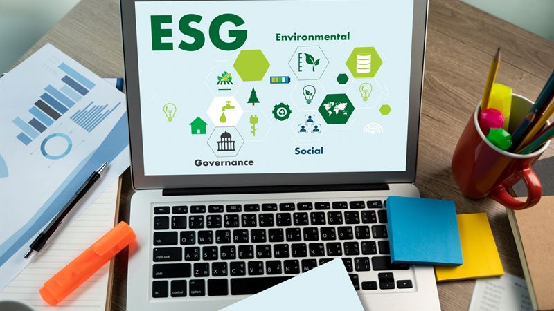 Comprehensive ESG Management Solutions for Small Businesses: Tools Supporting Sustainable Expansion
