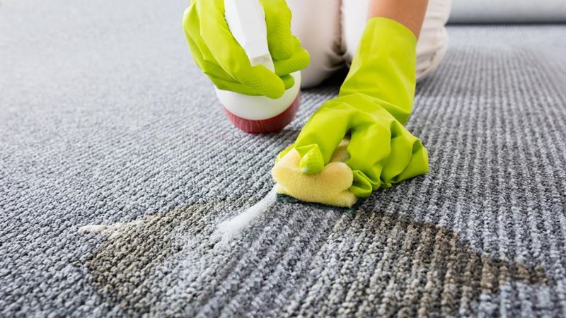 Ultimate Guide to Eliminating Coffee, Pet, and Ink Stains from Your Carpets