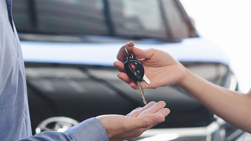 Comprehensive Guide to the Leading Car Rental Providers in the Industry