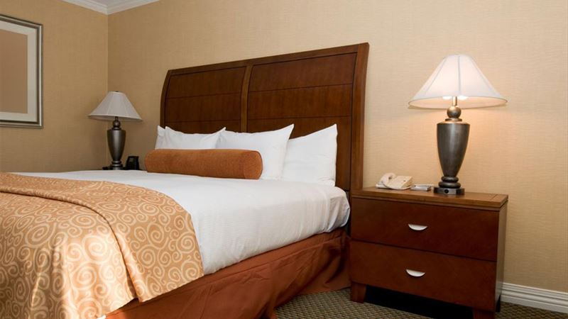 Comprehensive Guide to Saatva’s Diverse Mattress Collection