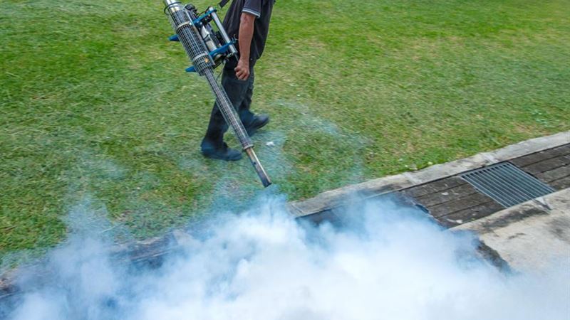 Effective Strategies for Comprehensive Mosquito Management