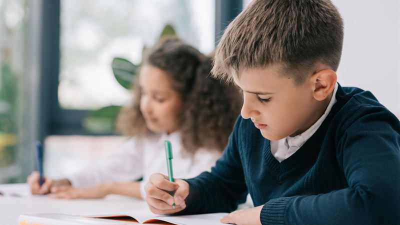 Comprehensive Overview of Key Factors Leading to School Closures