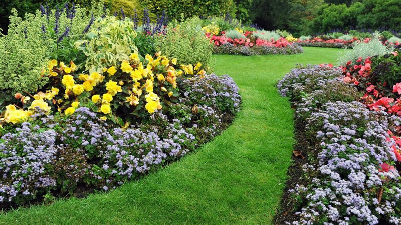 Expert Tips for Creating and Maintaining a Stunning, Organized Garden