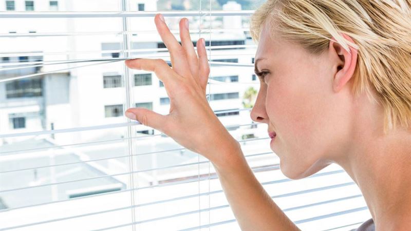 Comprehensive Guide to the Four Most Popular Types of Window Blinds for Your Home and Office