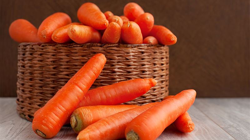 Essential Safe Human Foods for Your Canine Companion