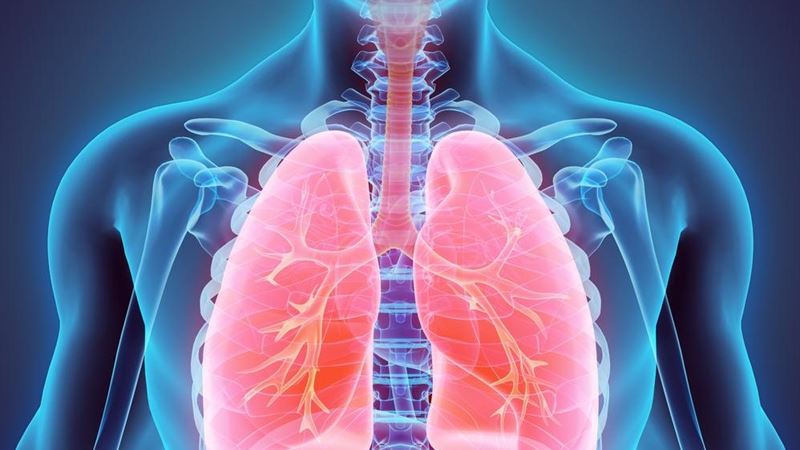 Comprehensive Guide to Recognizing the Signs and Symptoms of Lung Cancer
