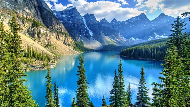 Explore the Canadian Rockies: A Comprehensive Guide Starting from Calgary