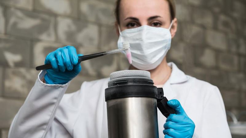 Comprehensive Guide to Stem Cell Preservation with LifeCell