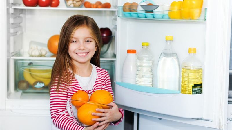 Comprehensive Guide to the Best Refrigerators of 2024