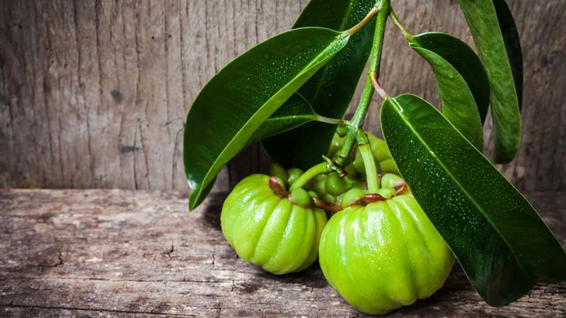 Potential Risks and Limitations of Using Garcinia Cambogia for Weight Loss