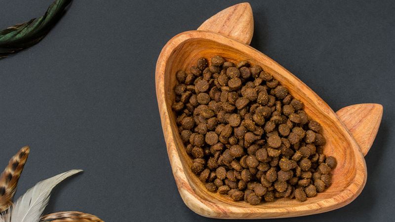 Ultimate Cyber Monday Deals on Premium Pet Nutrition and Accessories