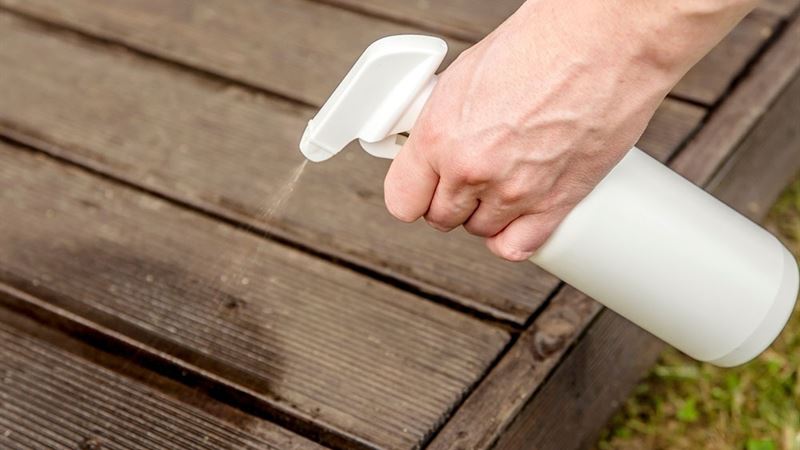 Effective Natural Strategies to Eliminate Spiders from Your Home