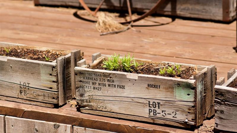 Comprehensive Guide to Crafting a Durable Wooden Plant Container