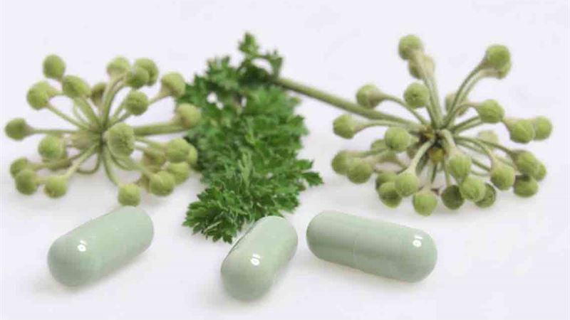 Essential Guide to Selecting Effective Natural Thyroid Support Supplements