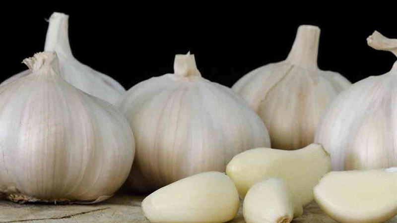 Effective Strategies for Rapid Relief from Constipation