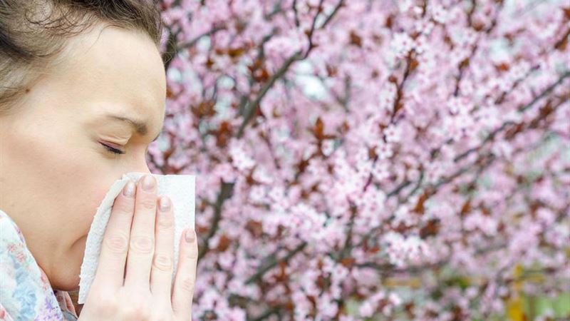 Effective Home Strategies to Alleviate Pollen Allergy Symptoms