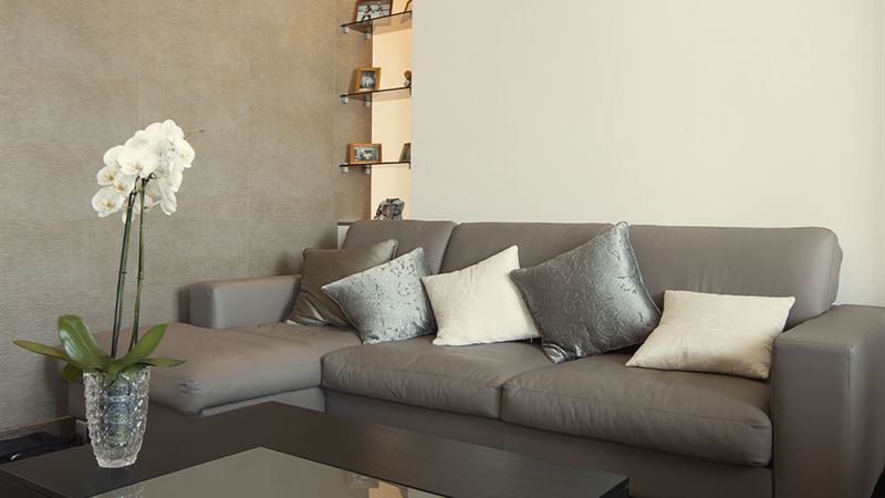 Discover Outstanding Savings on Home Furnishings with Exclusive Hayneedle Coupon Deals