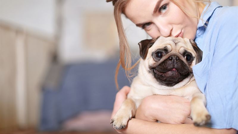 Essential Guide to Adopting Dogs: Everything You Need to Know