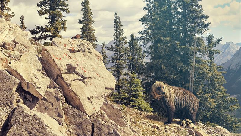 Ultimate Guide to Selecting the Perfect Canadian Rockies Adventure Tour