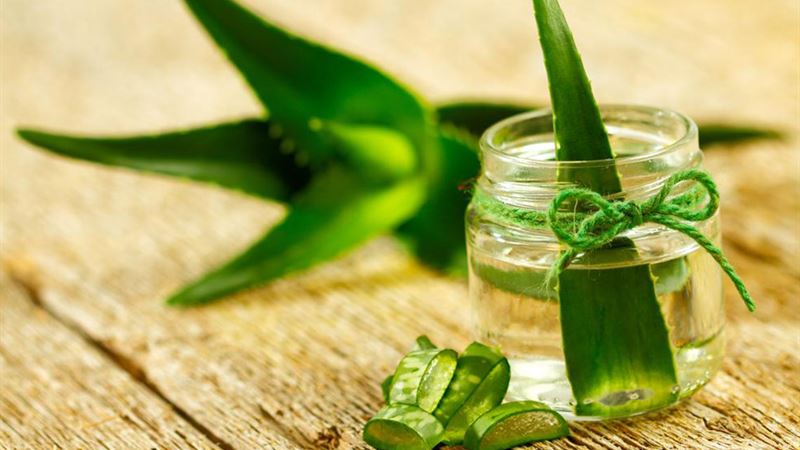 Top 6 Natural Ingredients for Youthful Skin and Anti-Aging Benefits