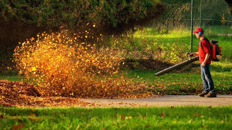 Top Budget-Friendly Leaf Blowers Under $100 for Efficient Yard Cleanup