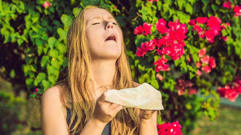 Comprehensive Guide to Effectively Managing and Treating Allergies